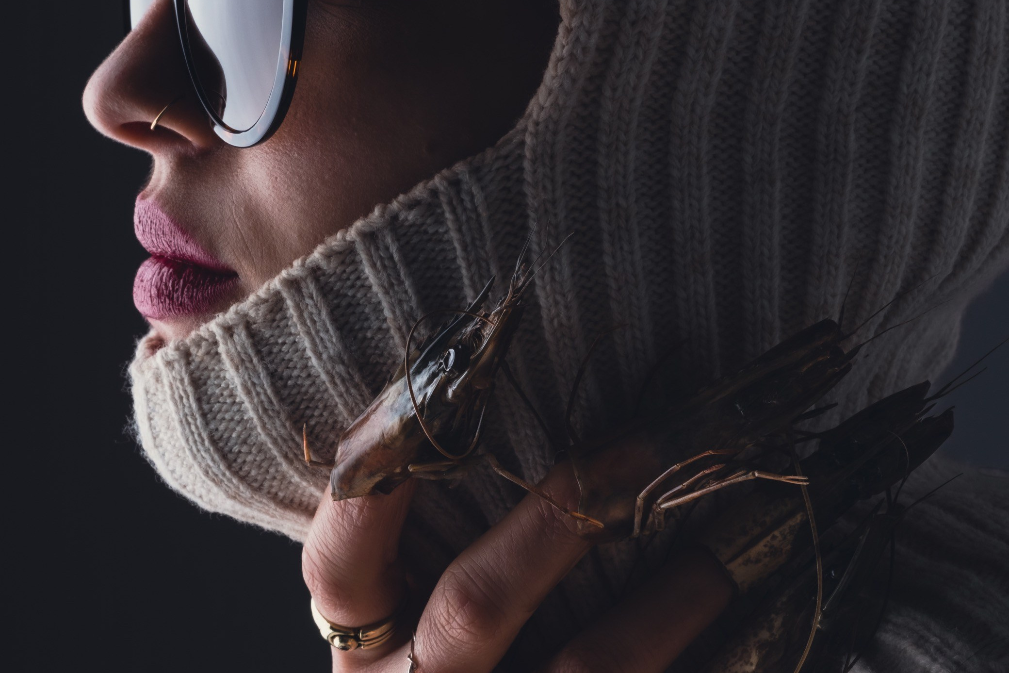 Design Portfolio. Sia Levine Design