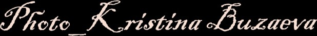 kristinabuzaeva.wfolio.pro