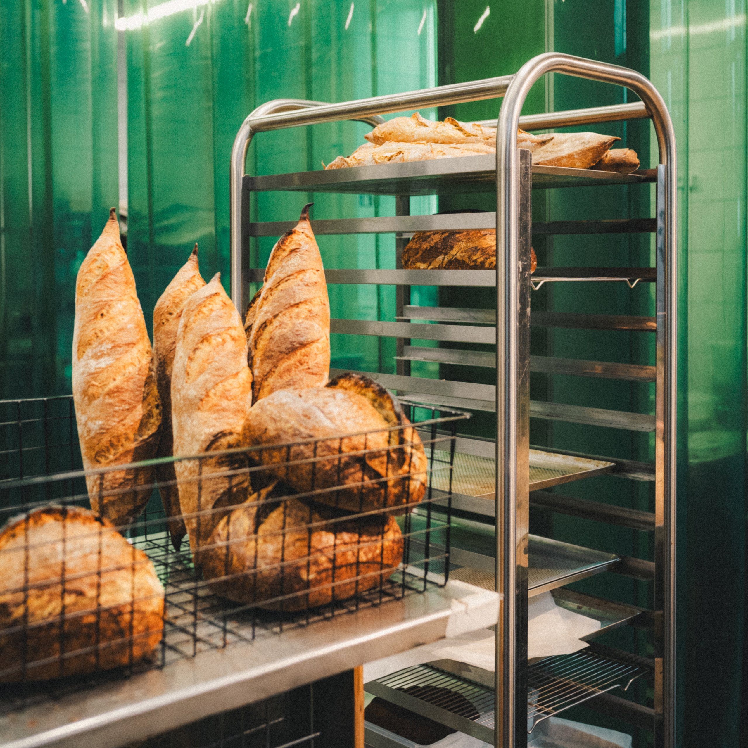 Fauno. Фотограф Илья К. в Москве