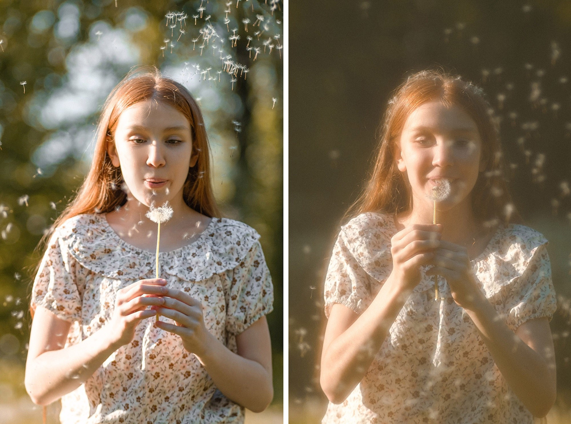 Объективы: софт-фокус. PHOTO COMMUNITY #SBERTEAM