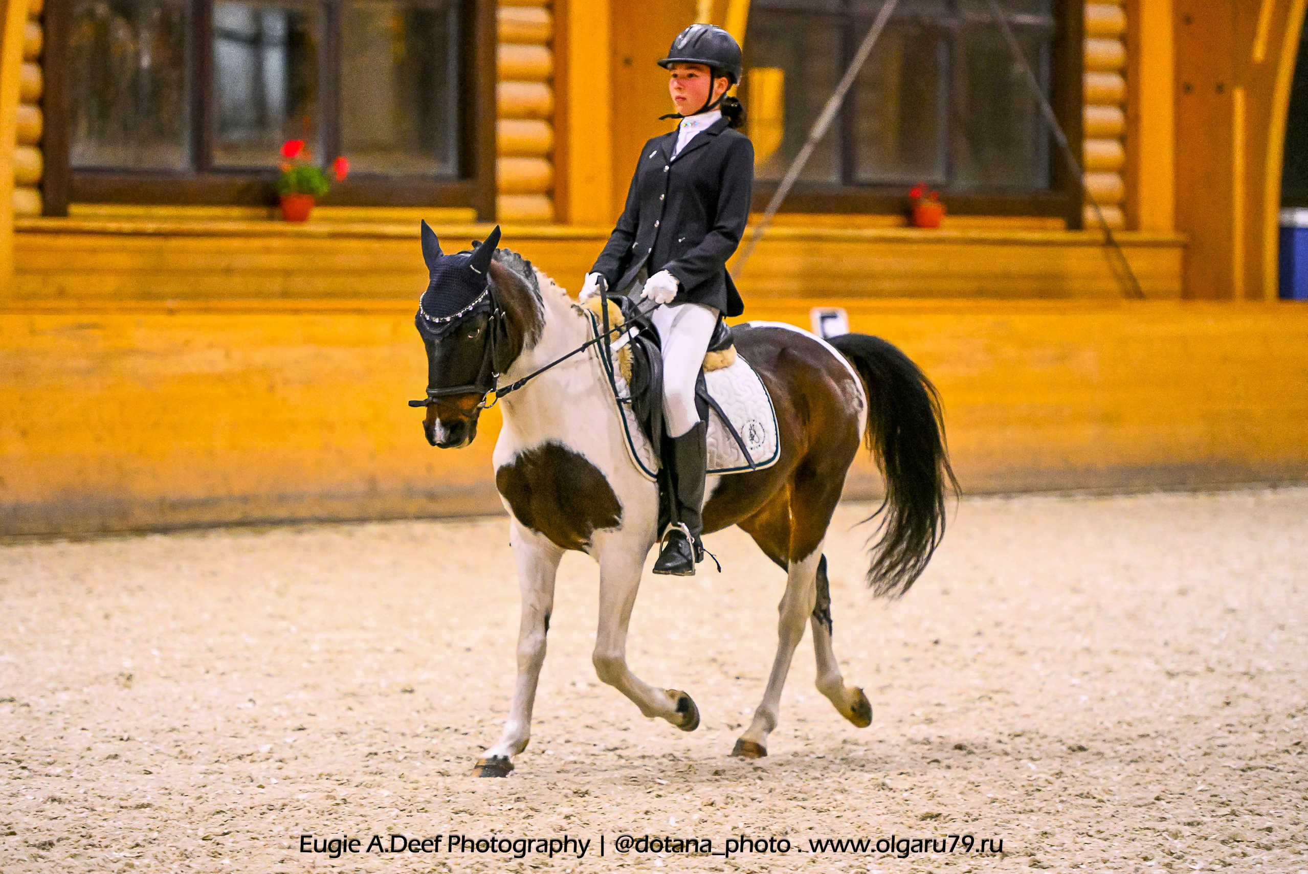 2025.10.18 — КСК Пегас — выездка. ТУРНИРНАЯ КОННАЯ ФОТОГРАФИЯ, Руднева Ольга и Евгений Адеев