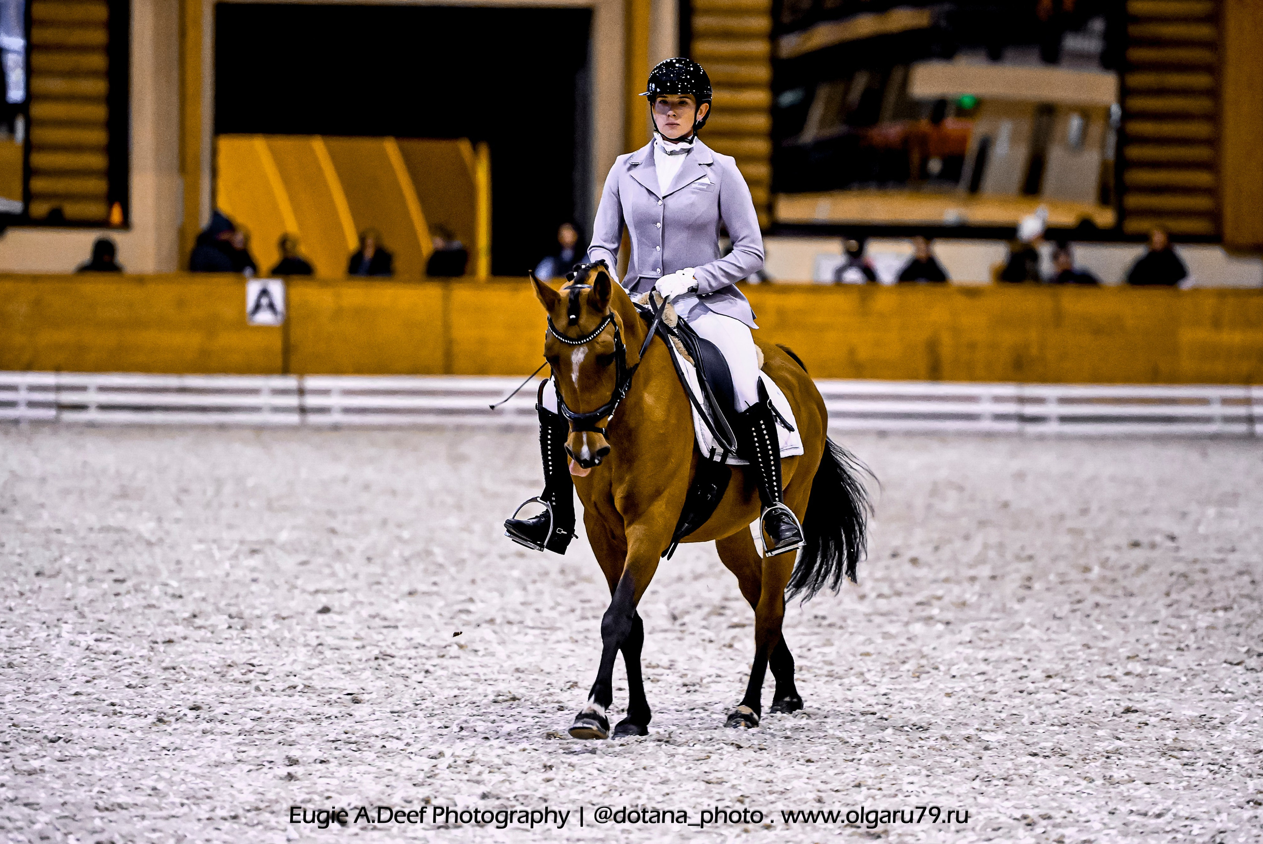 2025.10.18 — КСК Пегас — выездка. ТУРНИРНАЯ КОННАЯ ФОТОГРАФИЯ, Руднева Ольга и Евгений Адеев