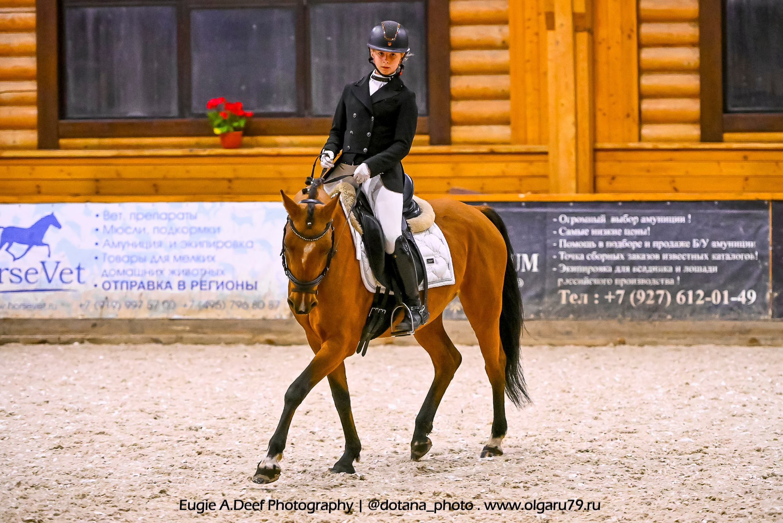 2025.10.18 — КСК Пегас — выездка. ТУРНИРНАЯ КОННАЯ ФОТОГРАФИЯ, Руднева Ольга и Евгений Адеев