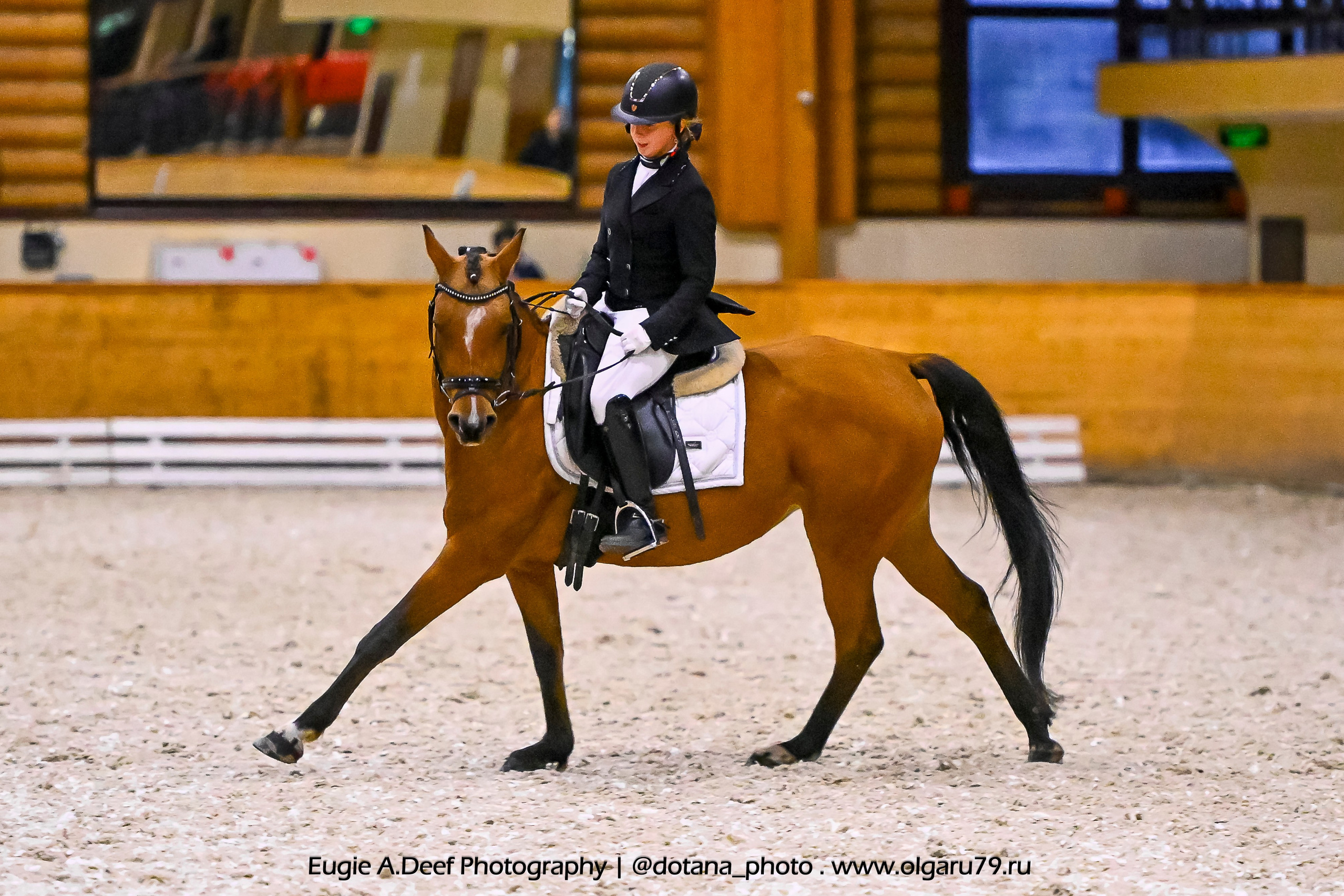 2025.10.18 — КСК Пегас — выездка. ТУРНИРНАЯ КОННАЯ ФОТОГРАФИЯ, Руднева Ольга и Евгений Адеев