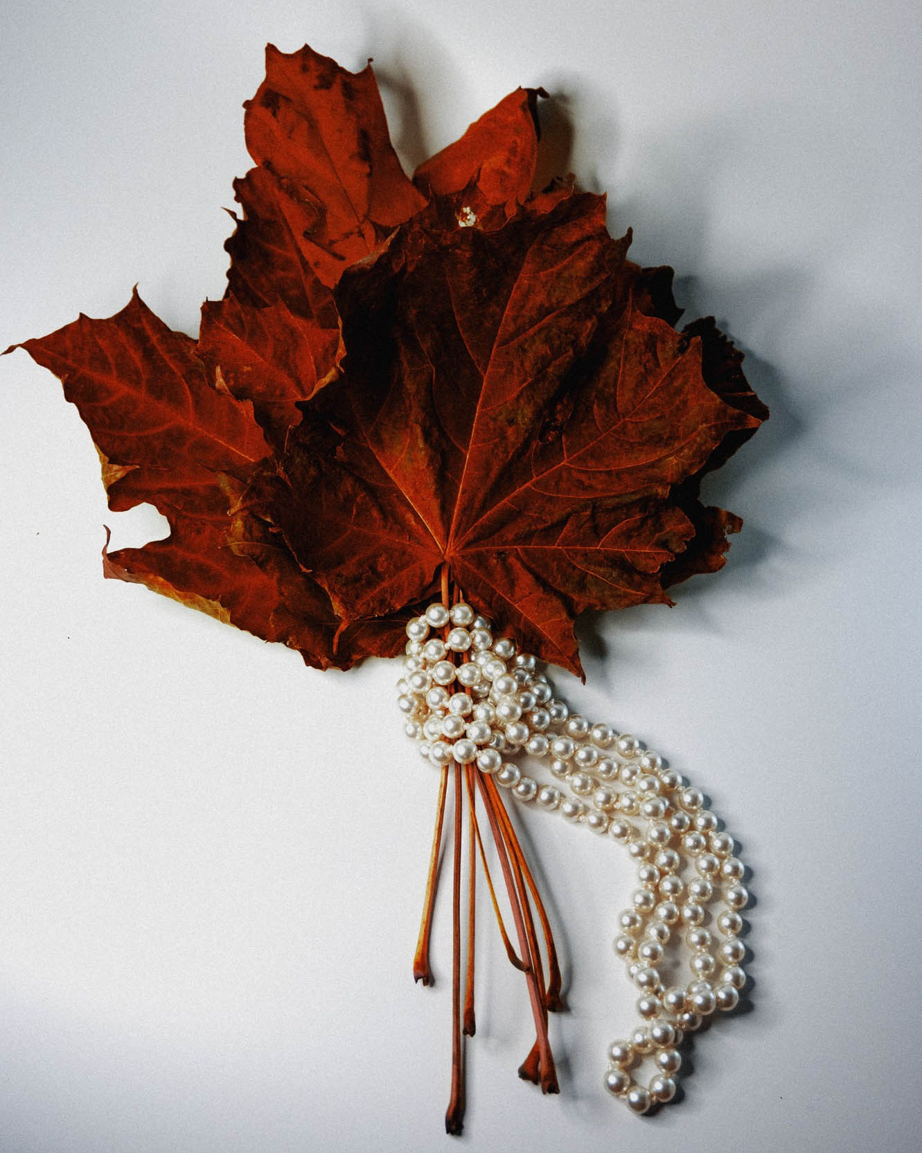 BRAND СЬЕМКИ. ВИЗУАЛ ДЛЯ ЭКСПЕРТОВ. Фотограф Анастасия Броварник в Санкт-Петербурге