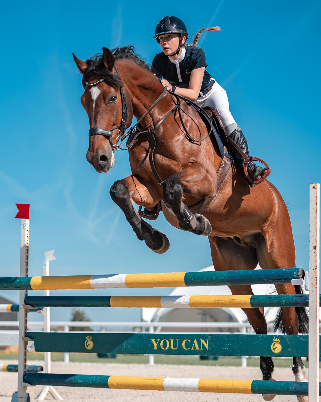 Услуги и цены. Конный и фотограф с животными в Твери Топталова Люся