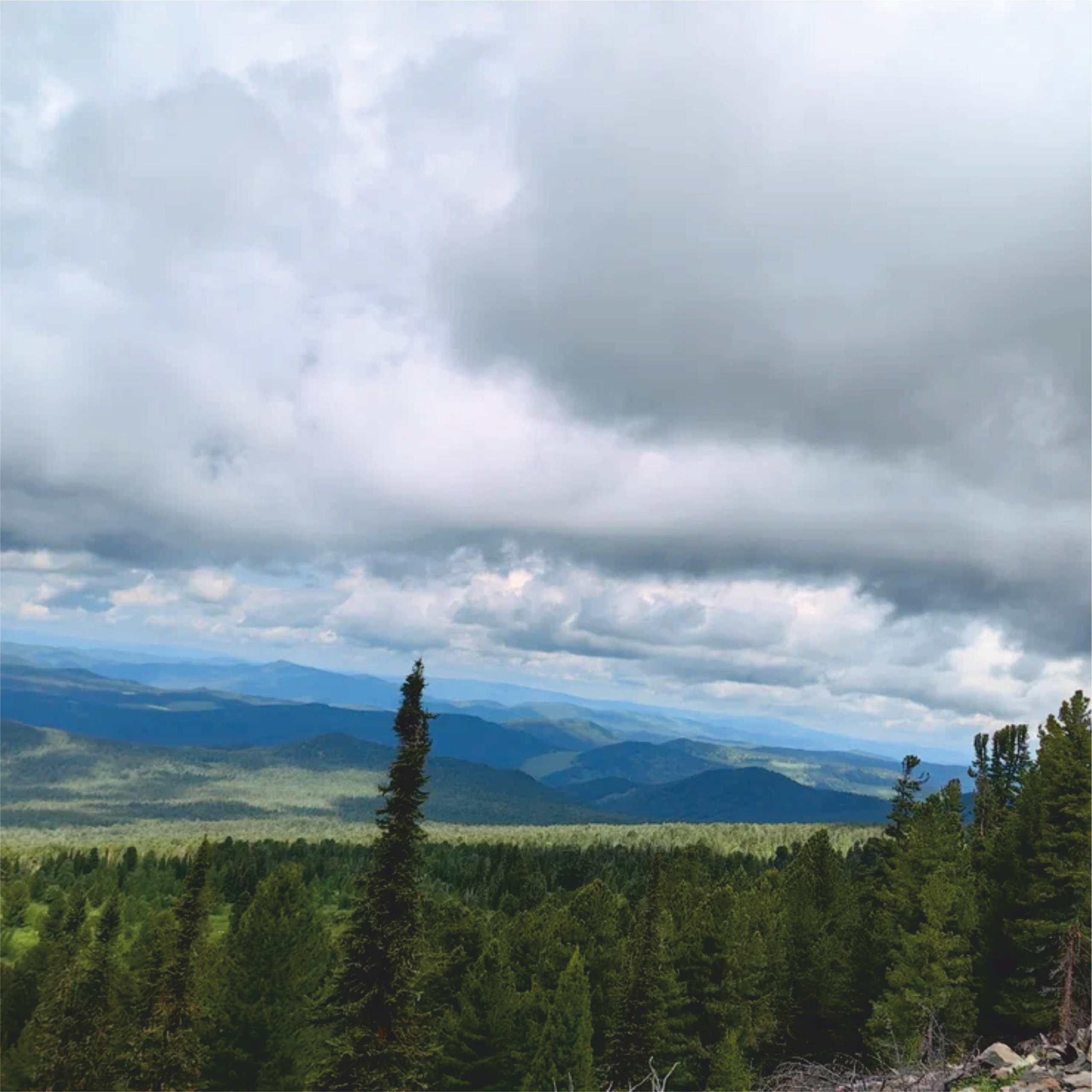 Урлу-Аспак - Каракол. Банк земельных участков Алтая