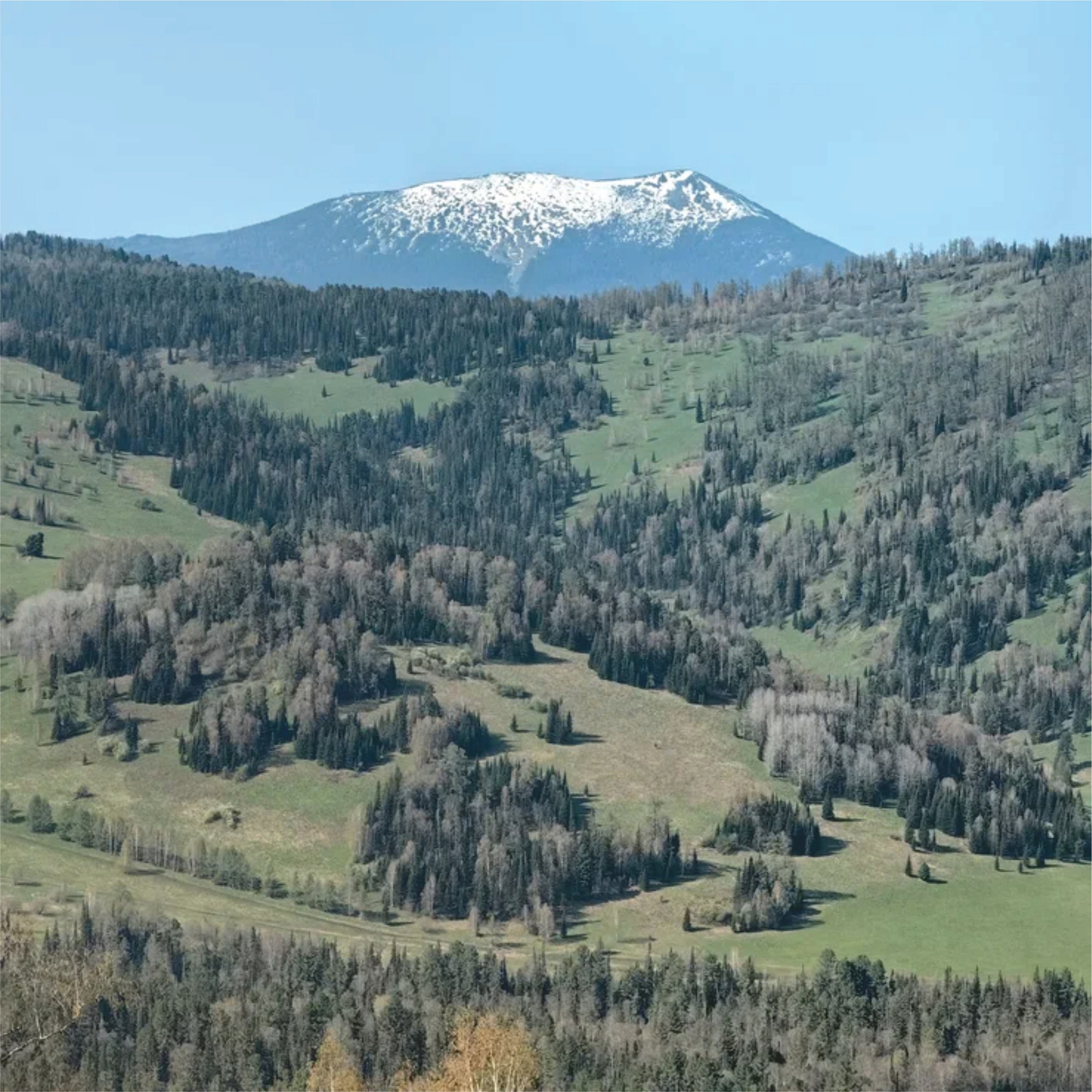 Урлу-Аспак - Каракол. Банк земельных участков Алтая