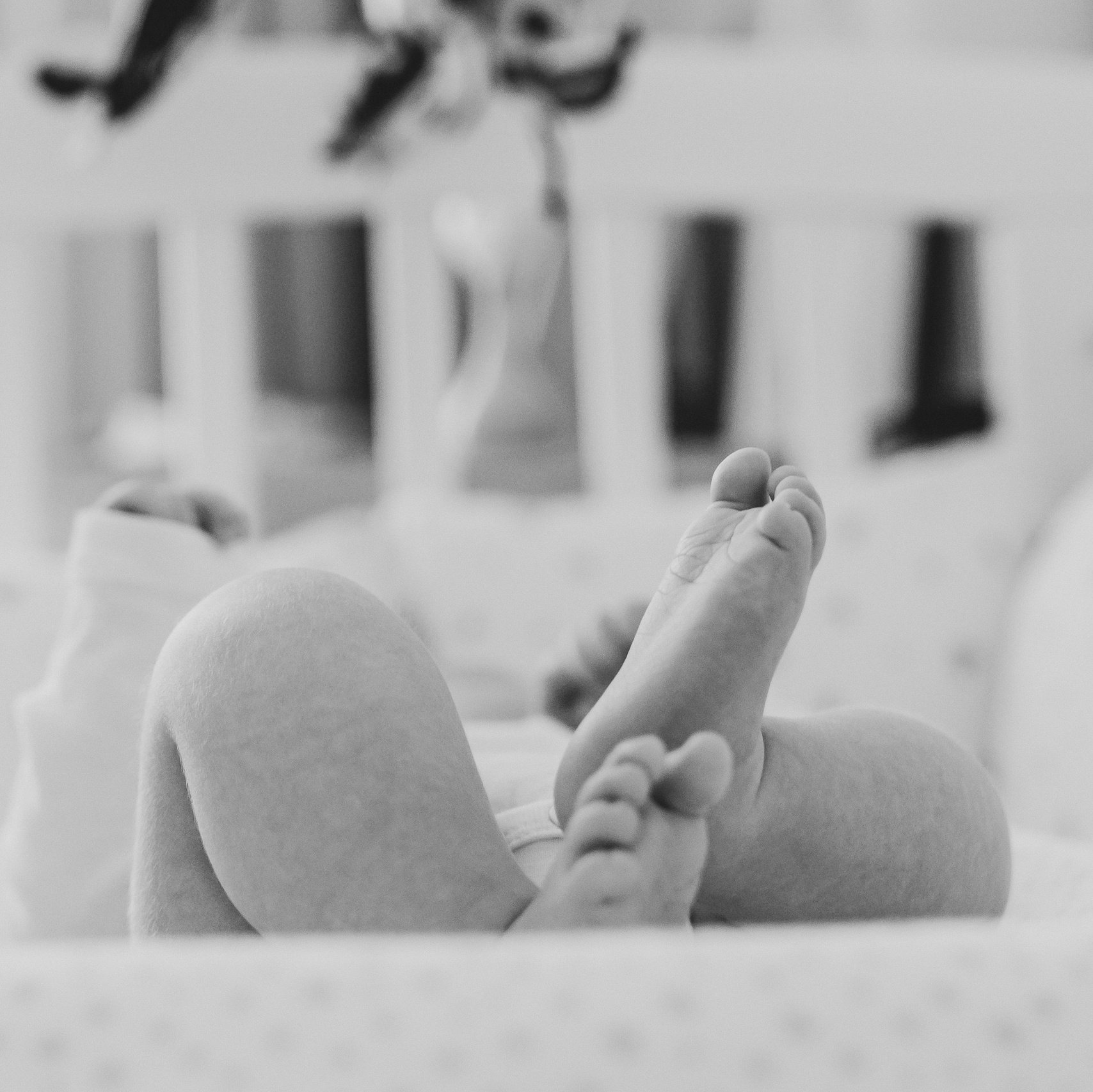 Reviews. Natalia Finch Photography — Family, Kids & Pet Photographer in Chicago, IL