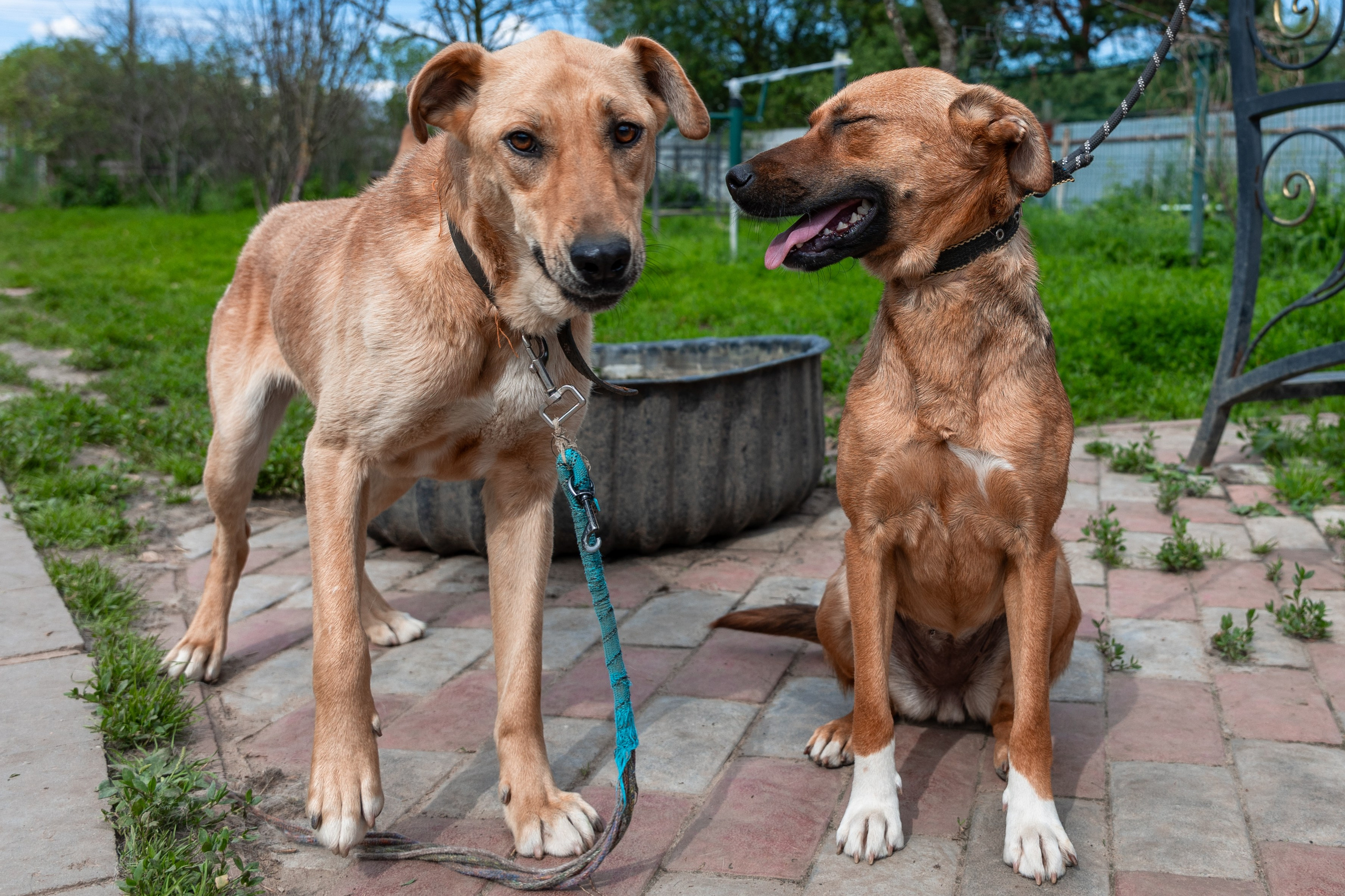 Priyut-gostinica. Professional photographer Alexey Nikitin in Moscow