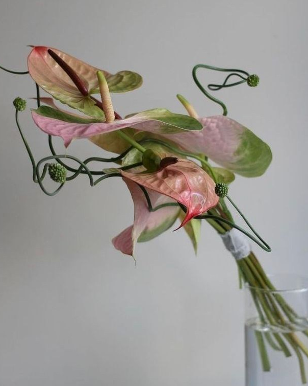 Как выбрать букет невесты?. Фотограф Кольчугино/Владимир/Москва Елизавета Иода