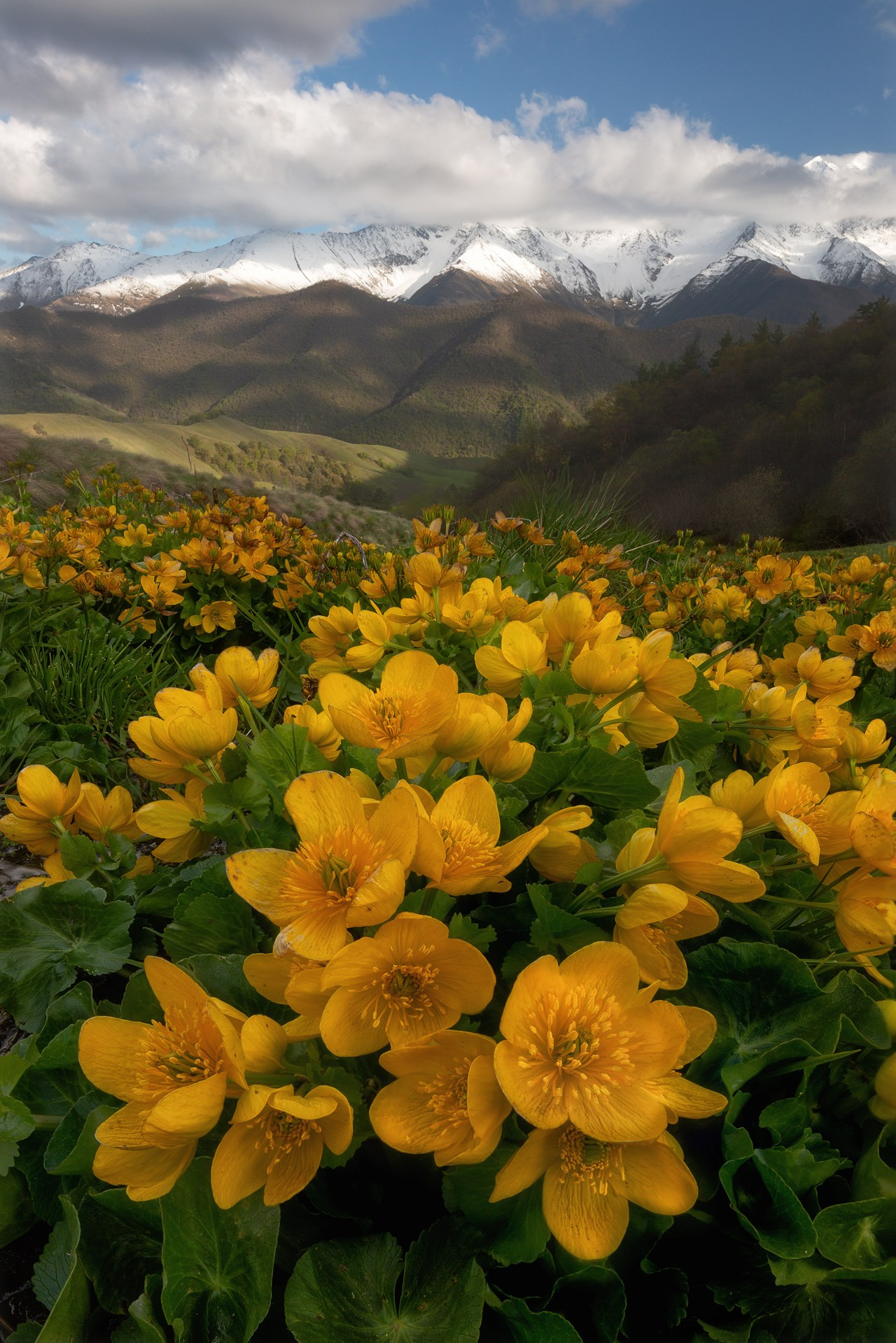 ПРИЭЛЬБРУСЬЕ И ИНГУШЕТИЯ 2026. Фототуры и обучение пейзажной фотографии