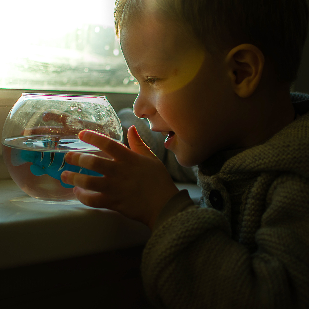 Услуги и цены. Annaalyoshicheva.ru детский и семейный лайфстайл Lifestyle фотограф