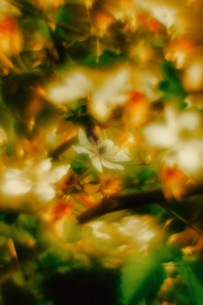 Нарышев Денис. ARTEXPOPHOTO