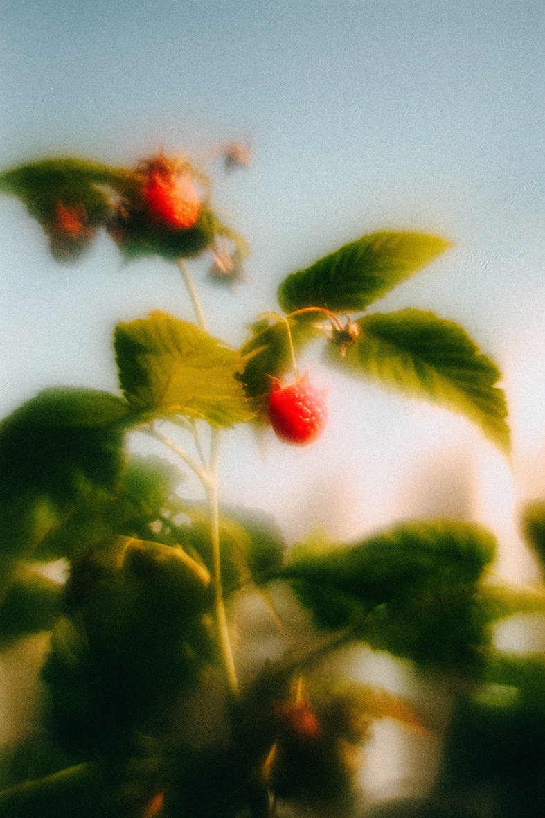 Нарышев Денис. ARTEXPOPHOTO