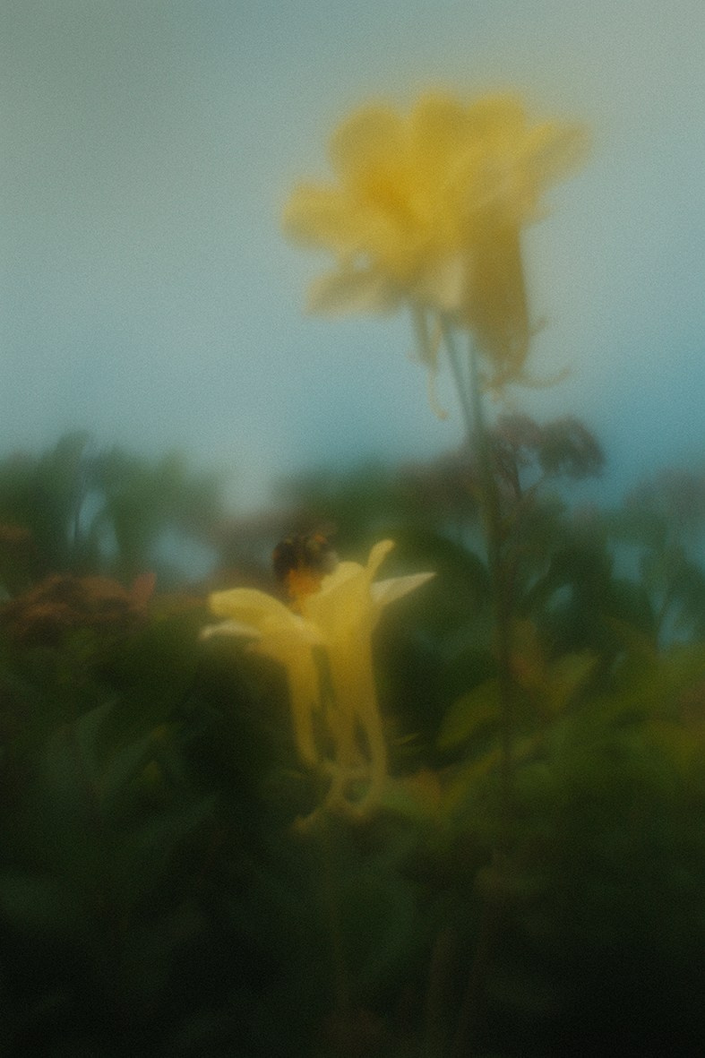 Нарышев Денис. ARTEXPOPHOTO