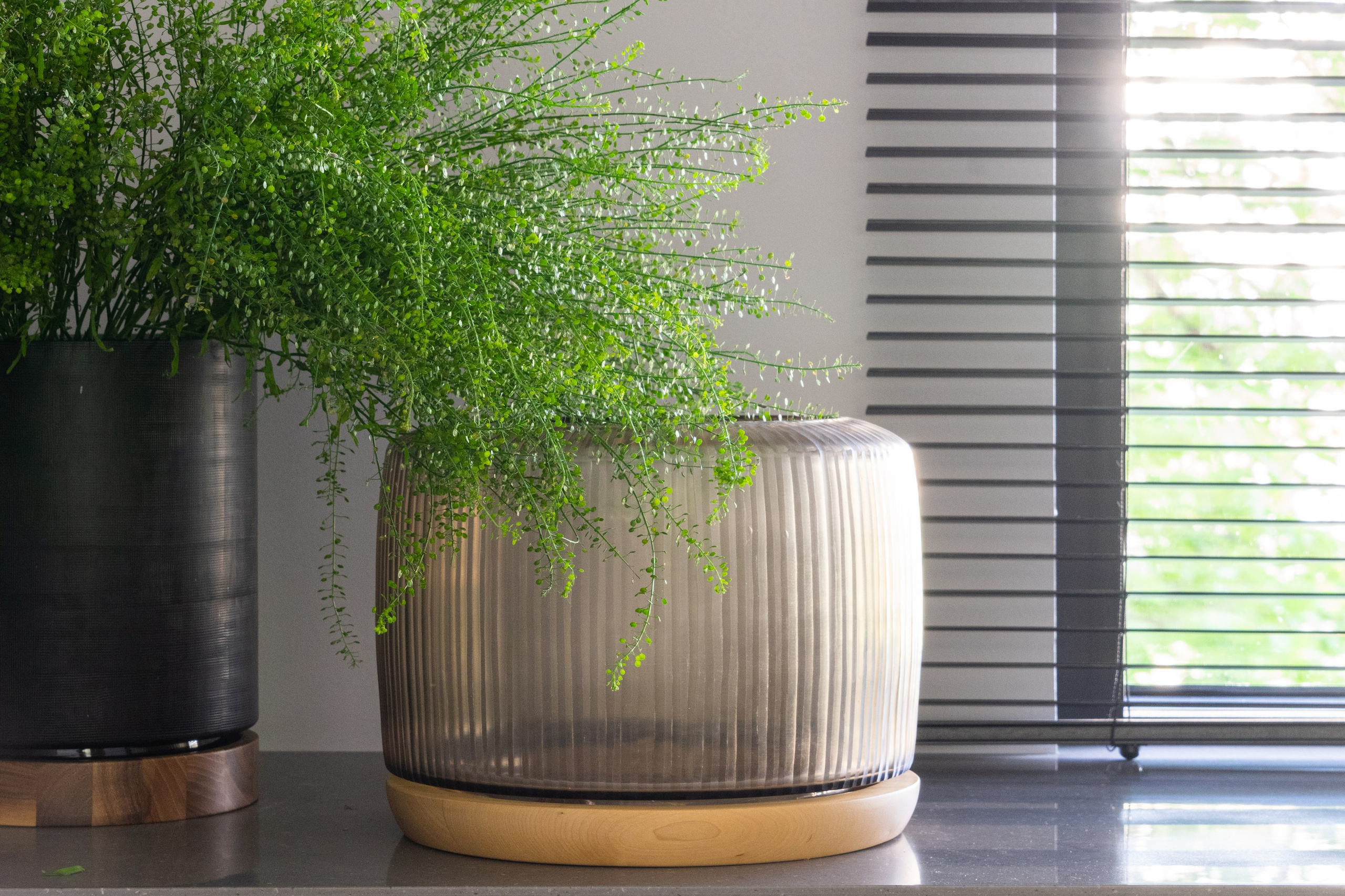 Atrium palace. Elizarova Design Studio