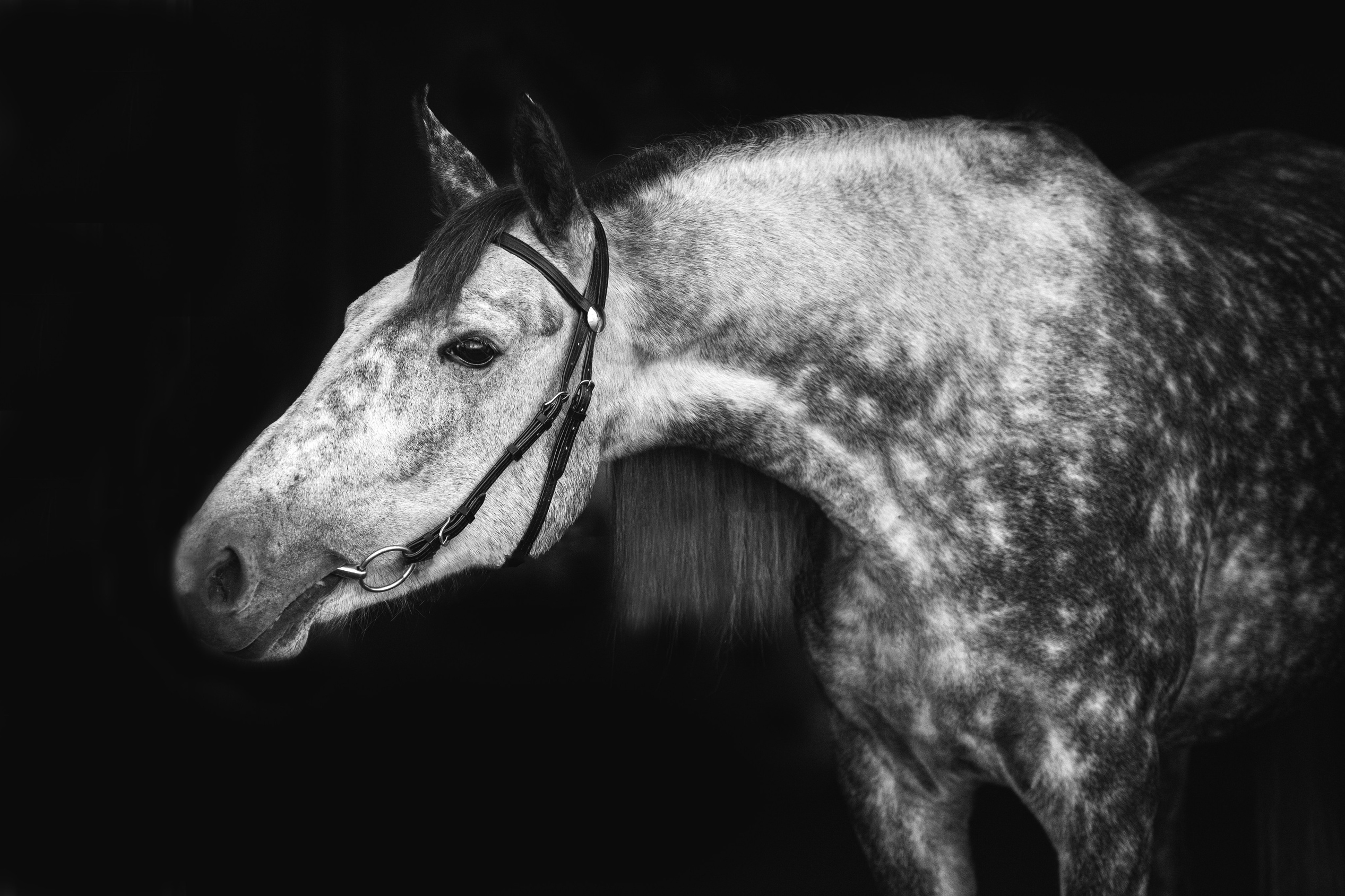 Услуги. Главная