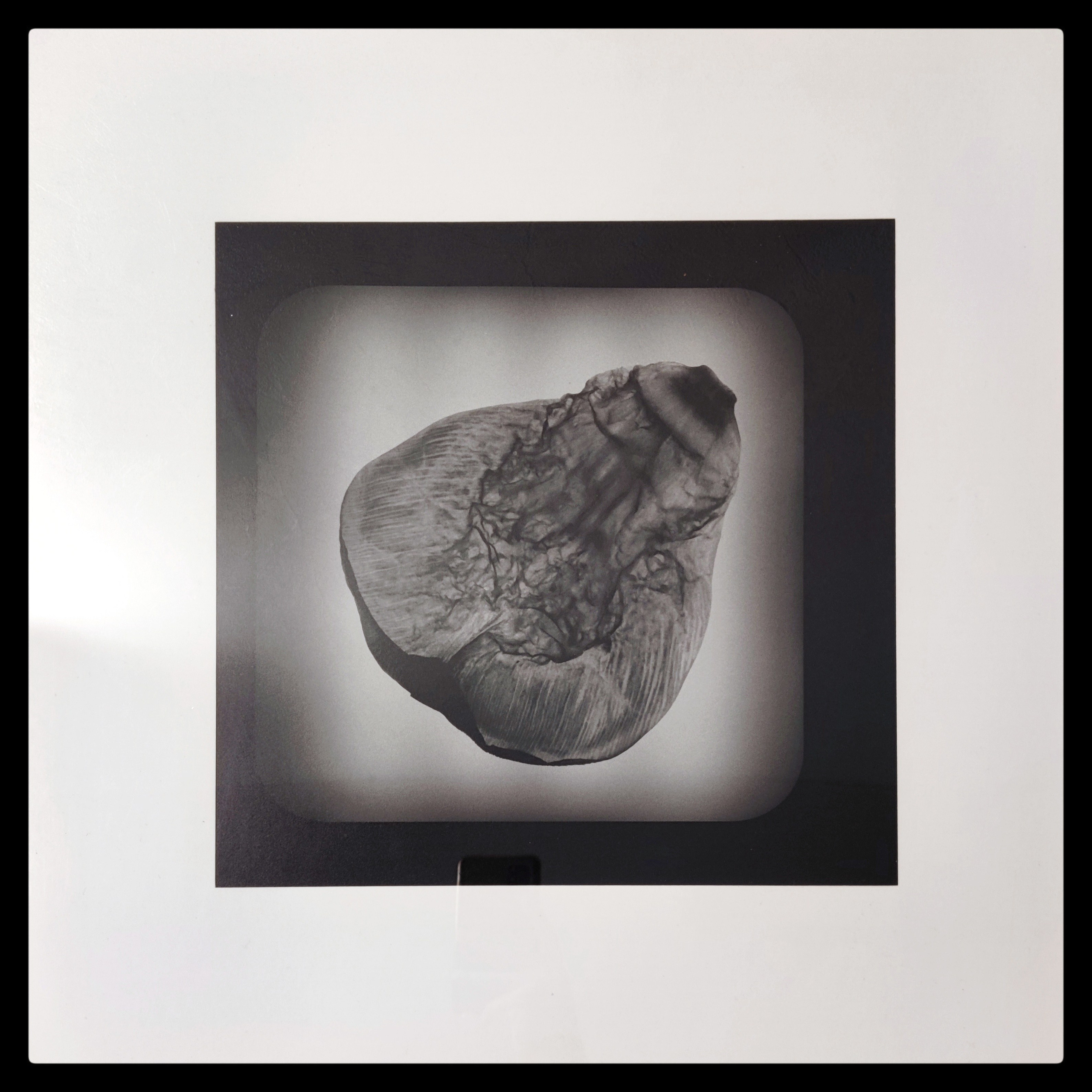 Отпечатки. Фотограф | Александр Очковский