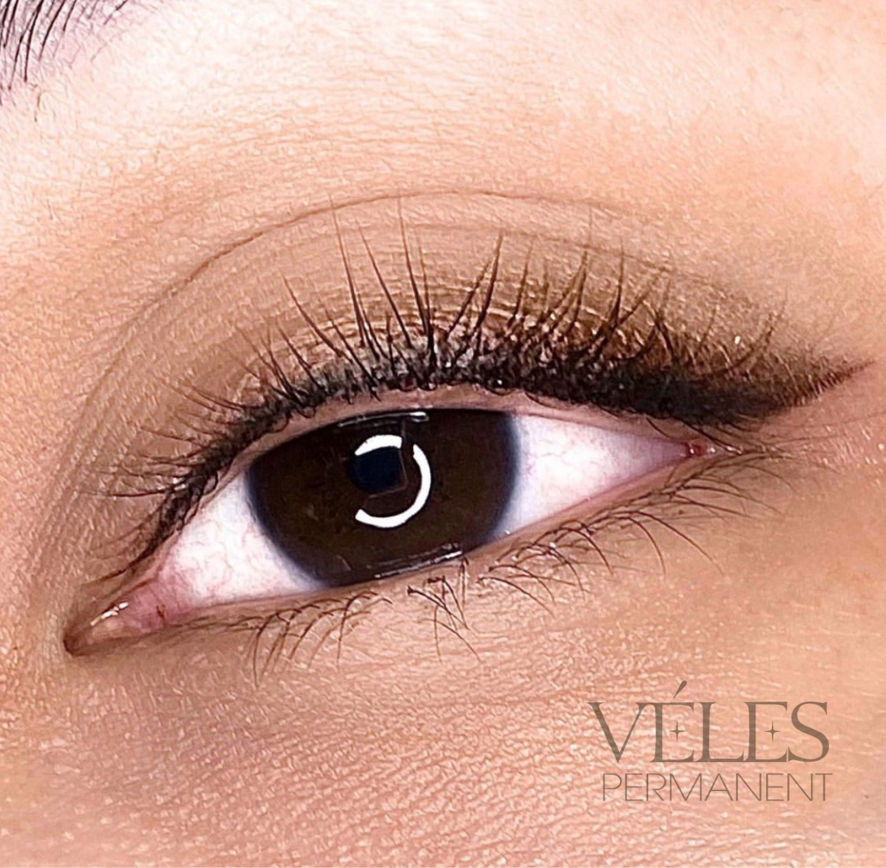 Повышение квалификации мастеров перманента. Студия перманентного макияжа Анастасии Вéлес