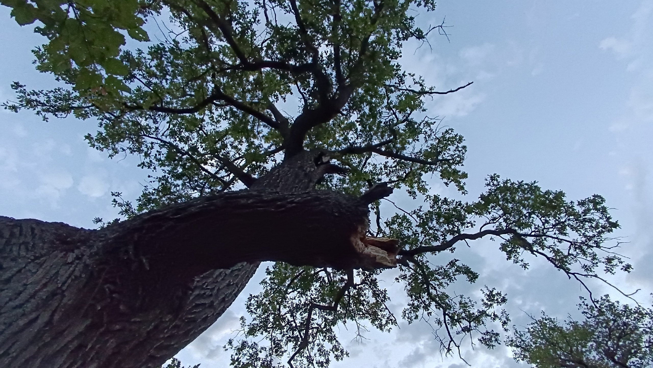 Читальный зал. Марина Рыбкина — Глубинная психология