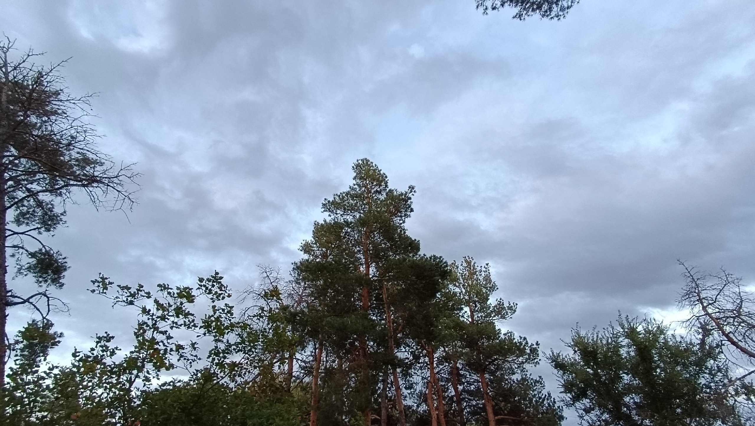 Читальный зал. Марина Рыбкина — Глубинная психология