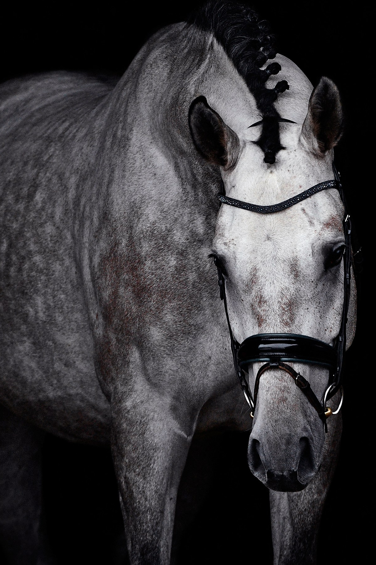 Информация про частные съемки