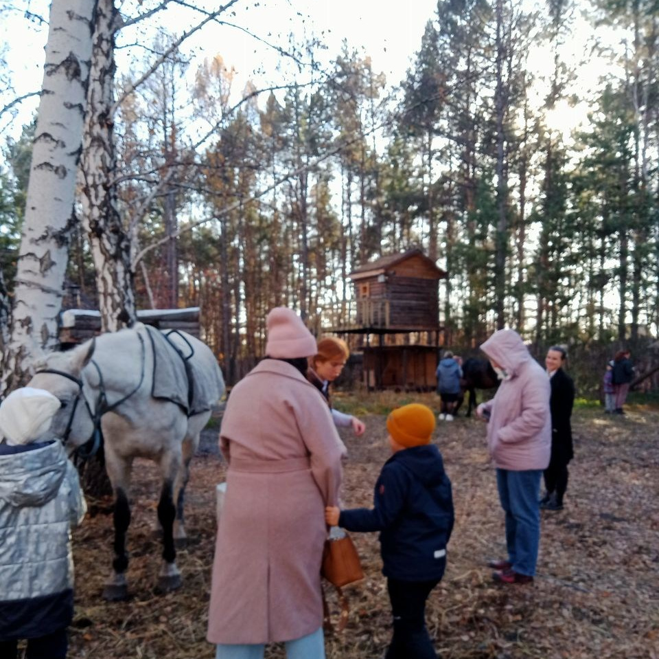 Программы отдыха. Конные прогулки в клубе «Анкор» — Омск