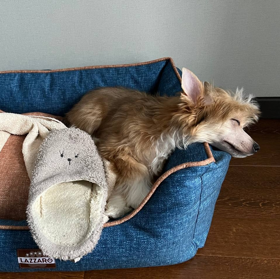 All the loot has been brought into the house. It's time to rest.