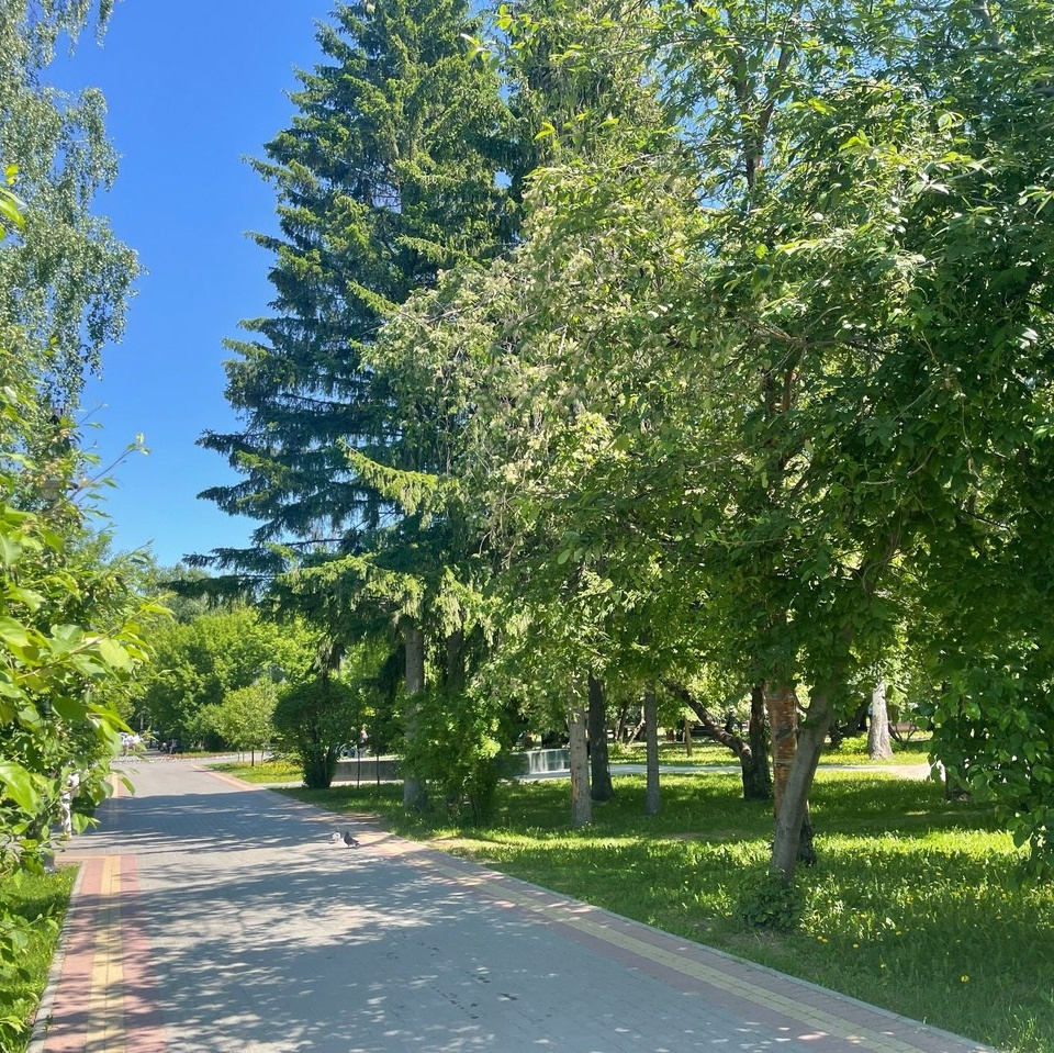 Места для фотосессий Томск