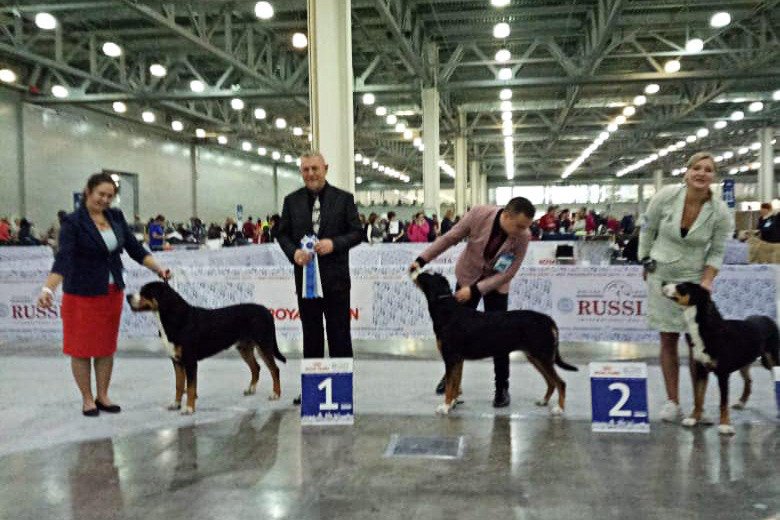 «Кубок Президента РКФ 2019»