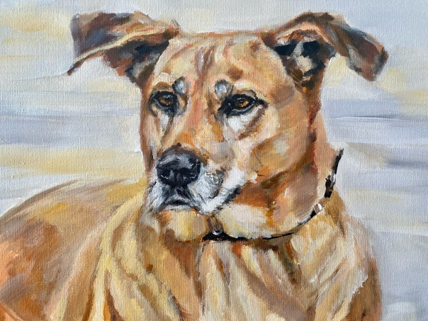 Праздник посвященный героям ВОВ-кинологам и их собакам. НРОО КЦ "Собаковод"