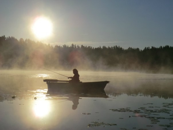 У воды. Акварельные картины с птицами и рыбами Ольги Цуриной
