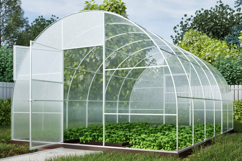 Арочные теплицы. Тепличный квартал