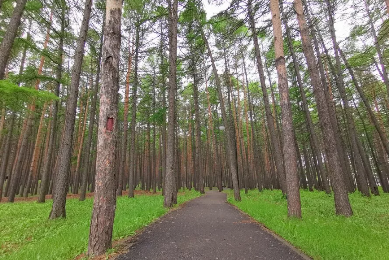 Места для фотосессий в Уфе