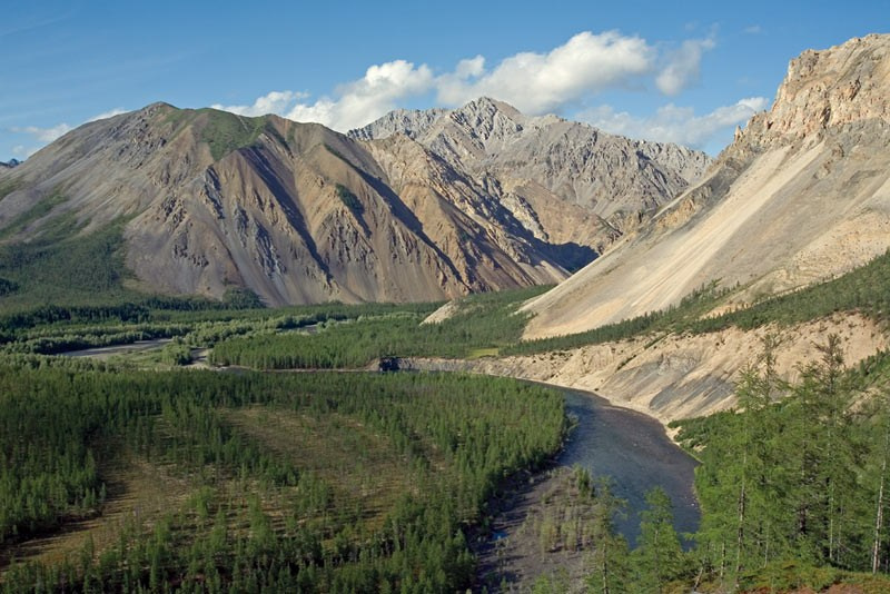 Там, где отражается небо