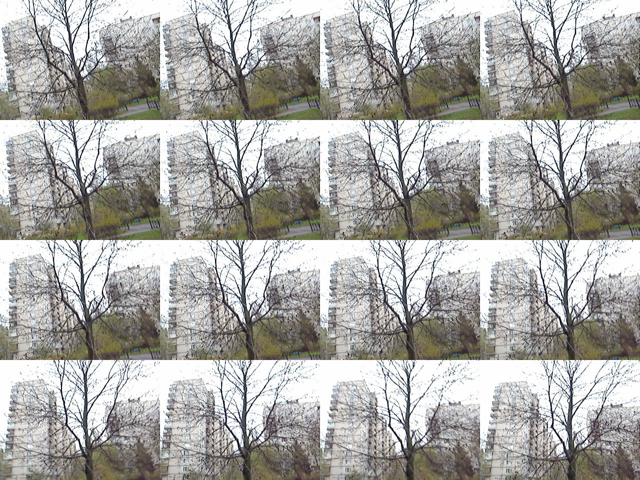Дрейф № 29 042 025. Роман Ходырев — эзотериолог, художник, фотограф и музыкант. Санкт-Петербург, Рига