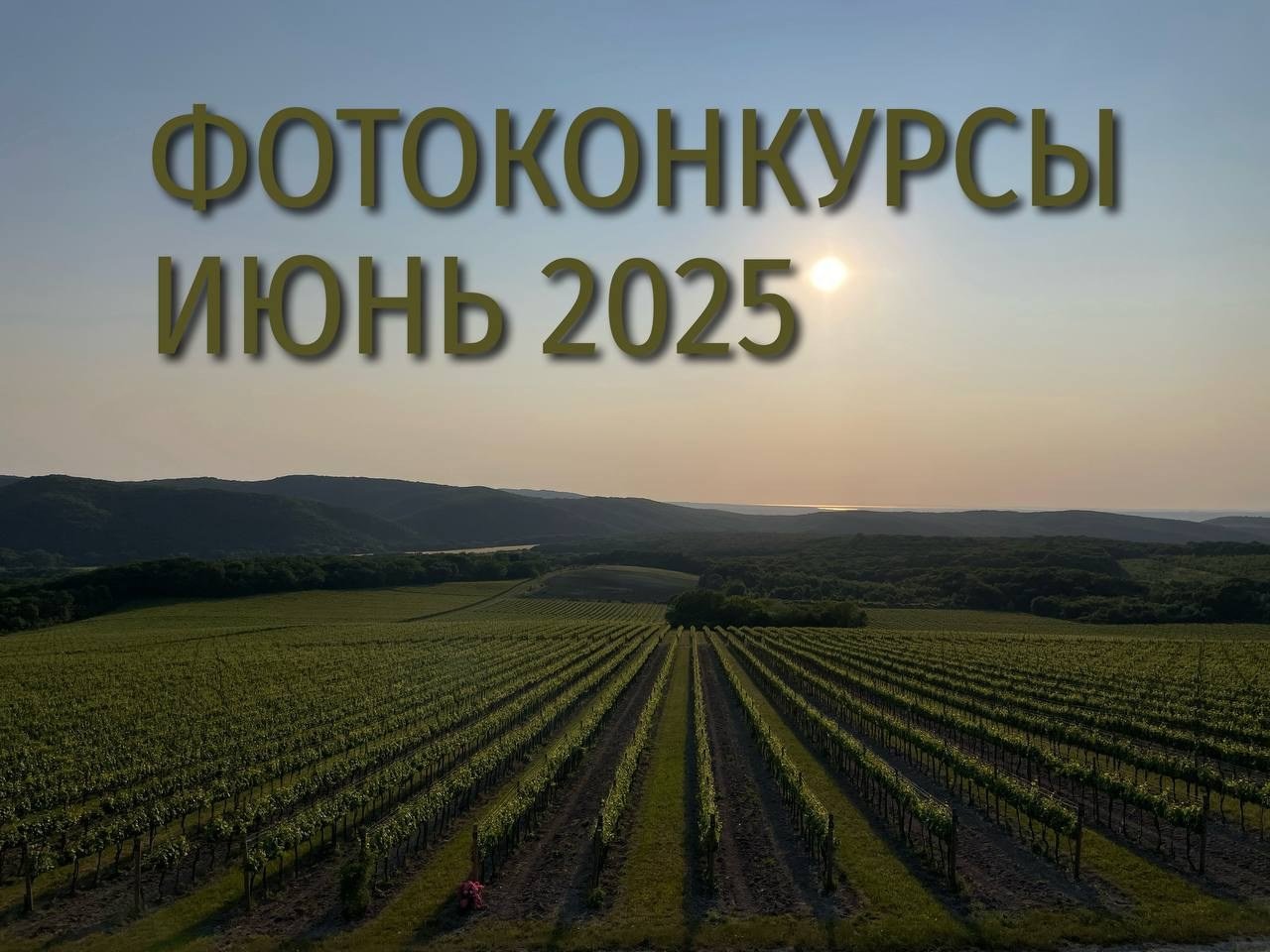 Фотоконкурсы июня 2025. Фотограф Михаил Мордасов, Сочи. Мероприятия, портреты, спорт, репортаж