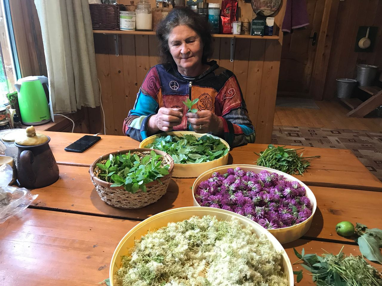 Экопродукция в Подмосковье. Эко отдых в Подмосковье в эко-отеле Марии Гиппенрейтер