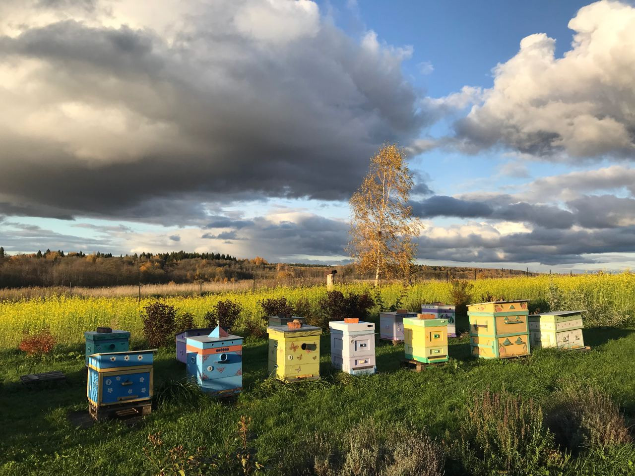 Пасека экофермы и работы на ней. Эко отдых в Подмосковье в эко-отеле Марии Гиппенрейтер