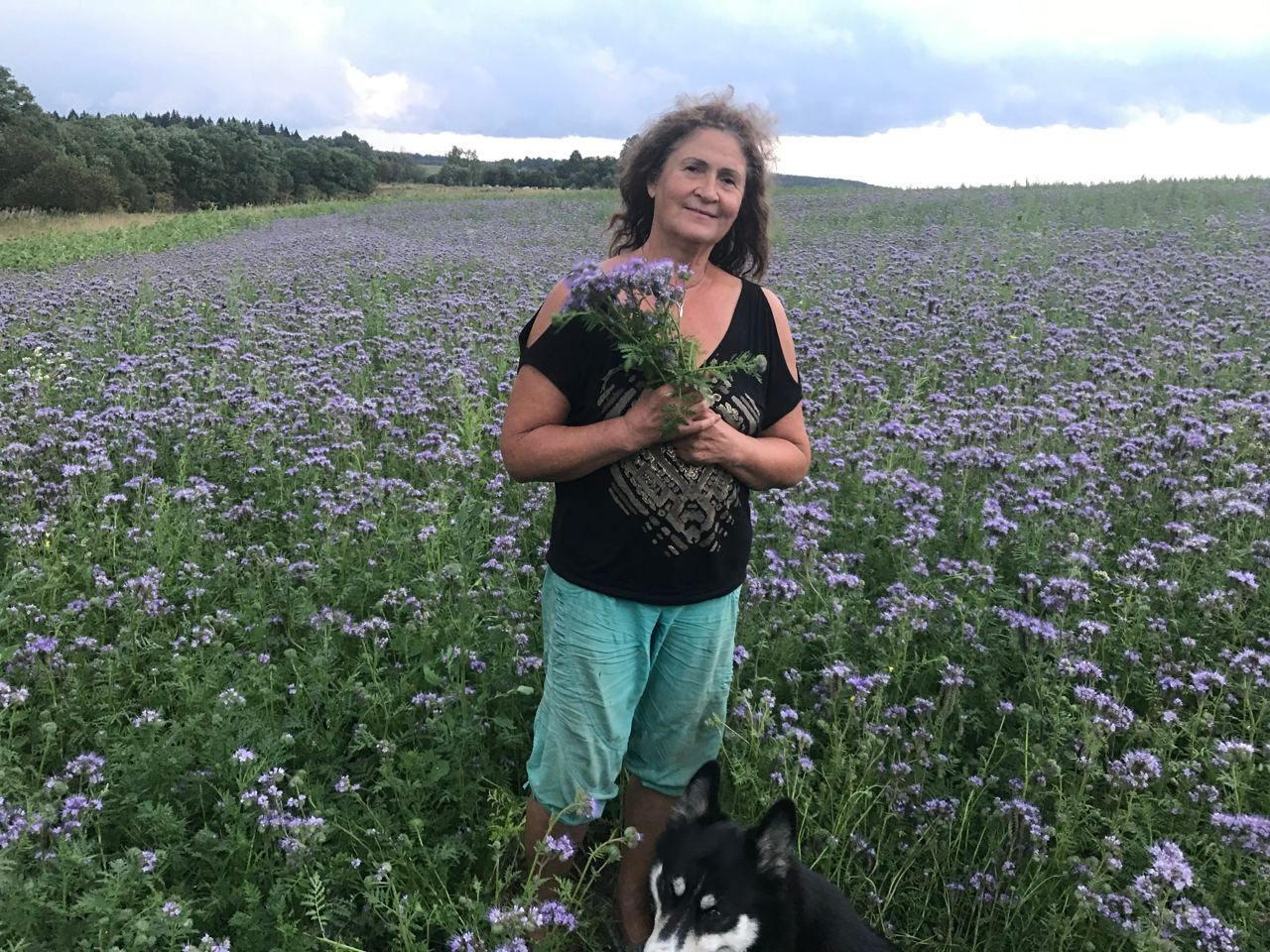 Пасека экофермы и работы на ней. Эко отдых в Подмосковье в эко-отеле Марии Гиппенрейтер