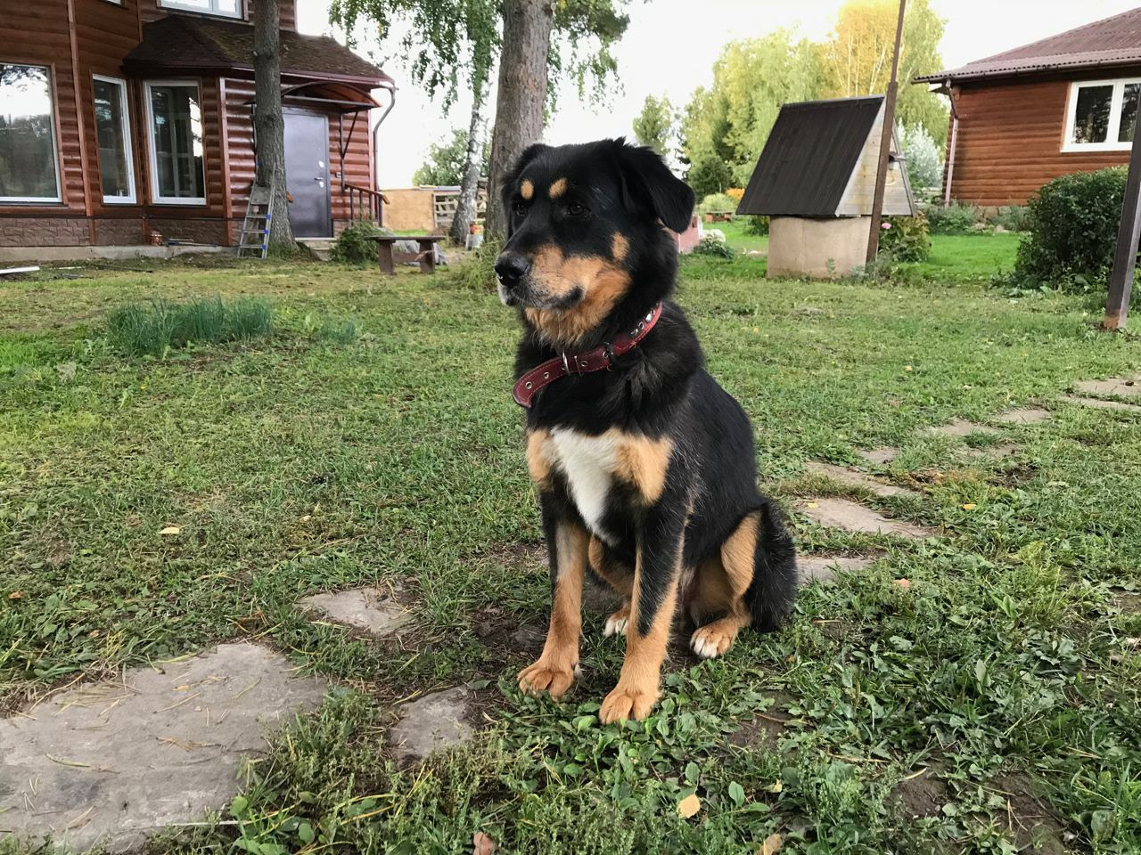 Команда экофермы Марии Гиппенрейтер. Эко отдых в Подмосковье в эко-отеле Марии Гиппенрейтер
