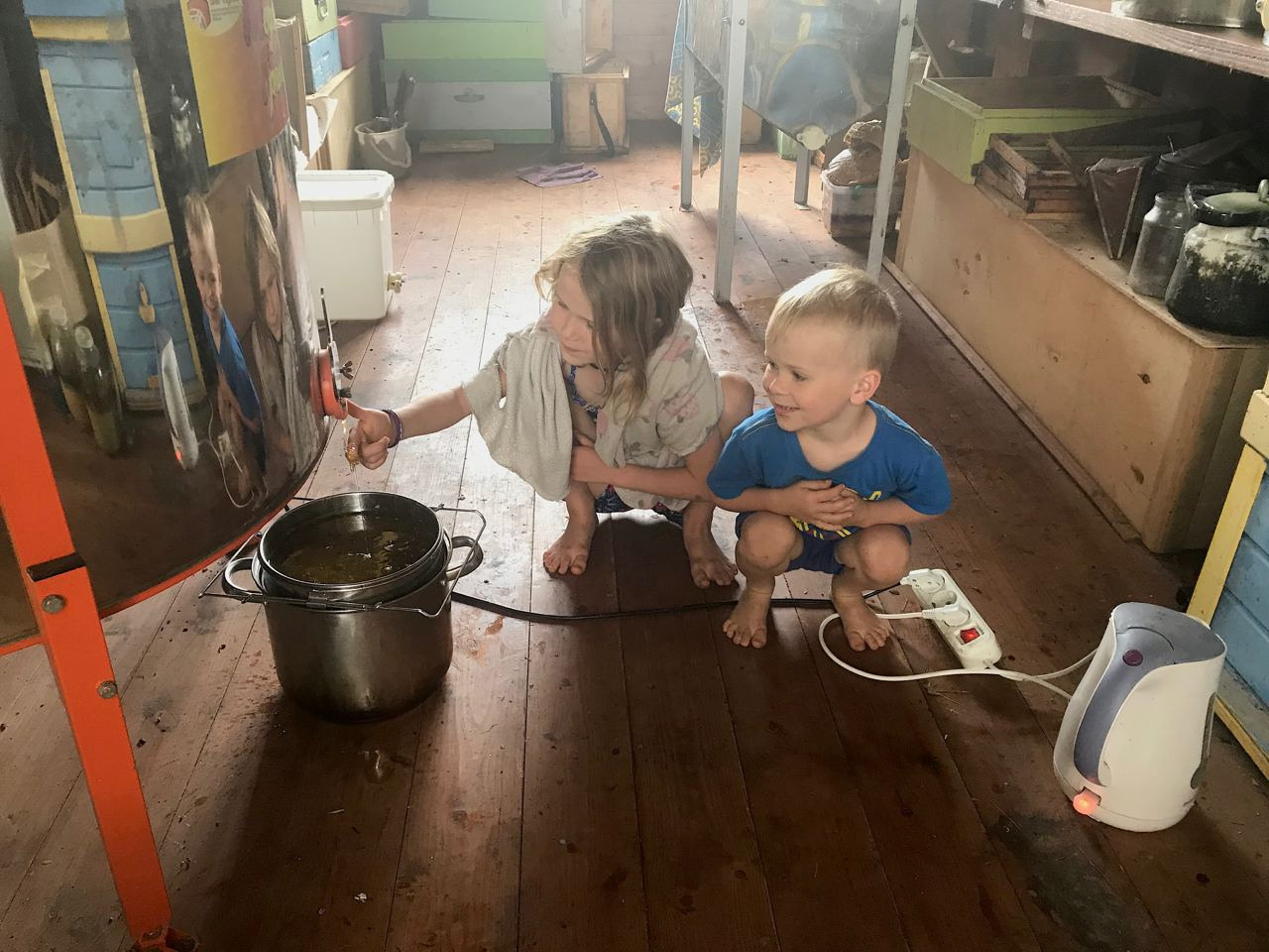 Пасека экофермы и работы на ней. Эко отдых в Подмосковье в эко-отеле Марии Гиппенрейтер