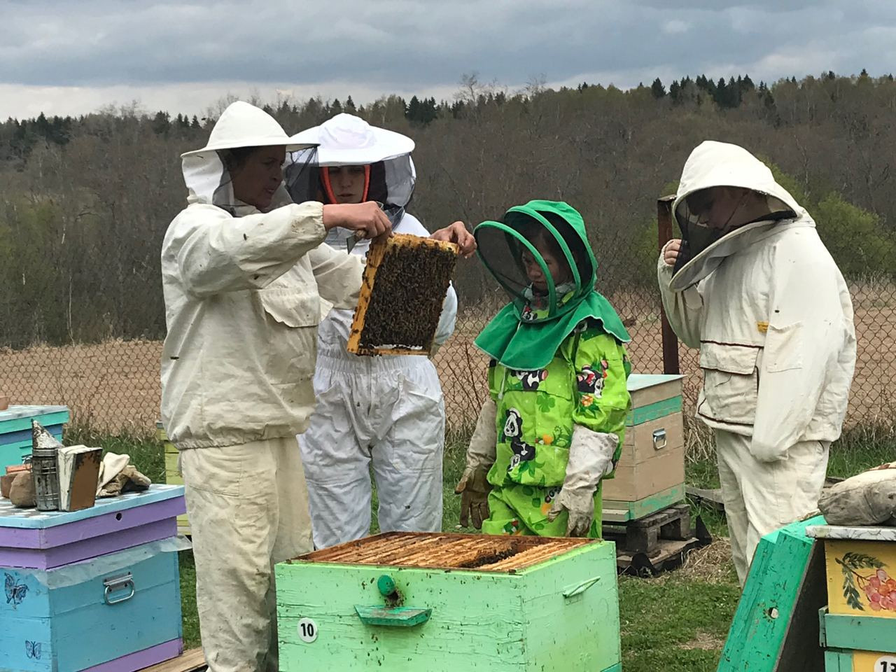 Пасека экофермы и работы на ней. Эко отдых в Подмосковье в эко-отеле Марии Гиппенрейтер
