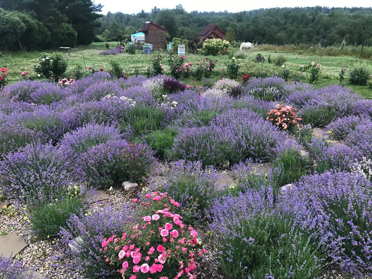 Лабиринт на экоферме в Подмосковье. Эко отдых в Подмосковье в эко-отеле Марии Гиппенрейтер