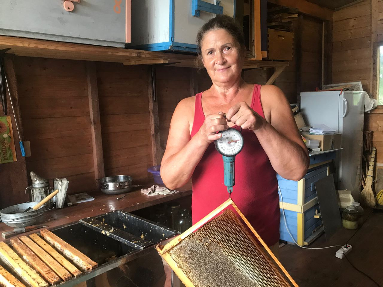 Пасека экофермы и работы на ней. Эко отдых в Подмосковье в эко-отеле Марии Гиппенрейтер