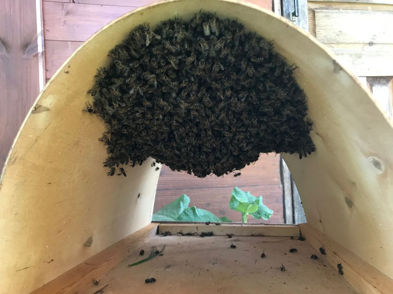 Пасека экофермы и работы на ней. Эко отдых в Подмосковье в эко-отеле Марии Гиппенрейтер