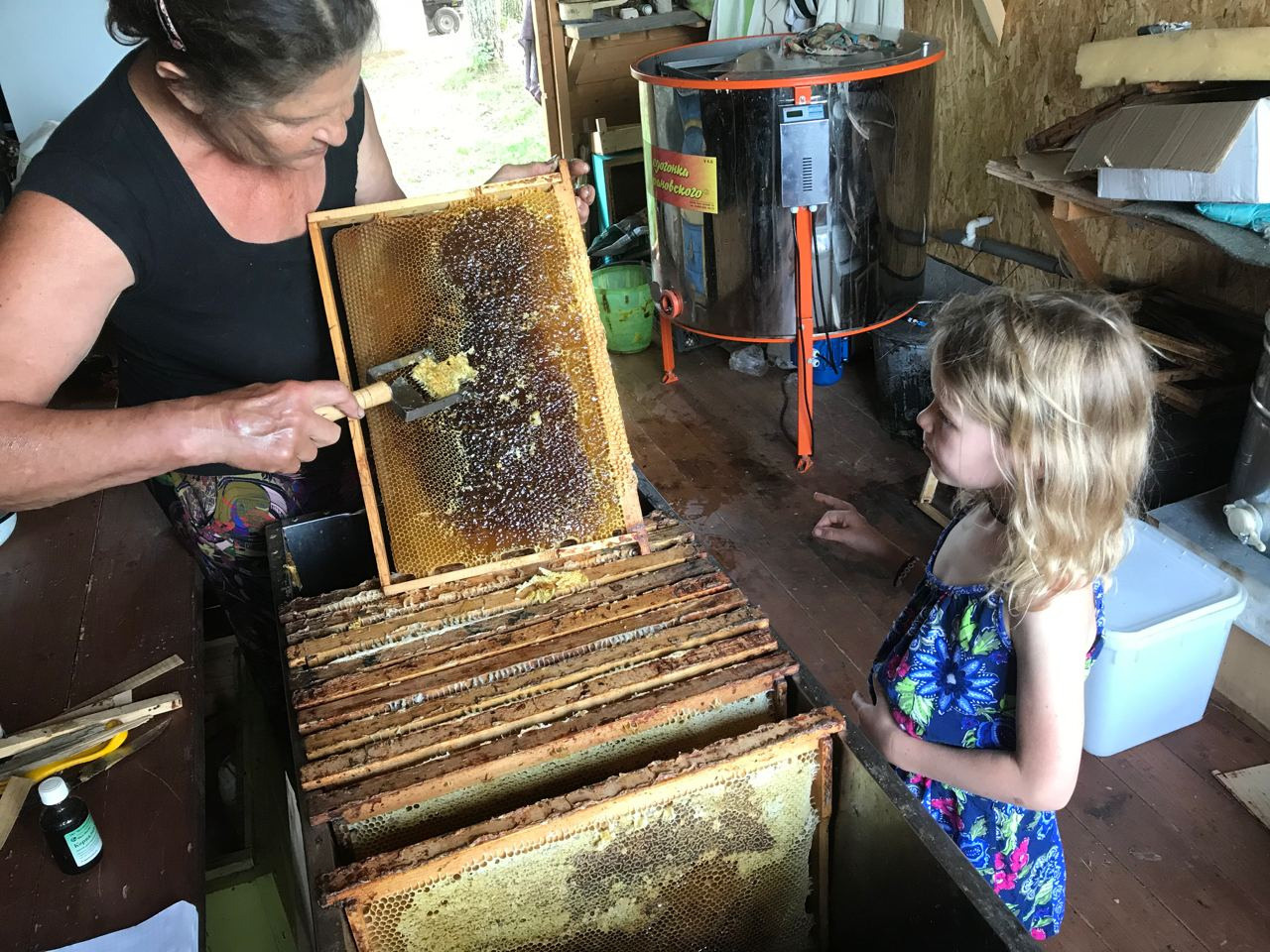 Пасека экофермы и работы на ней. Эко отдых в Подмосковье в эко-отеле Марии Гиппенрейтер