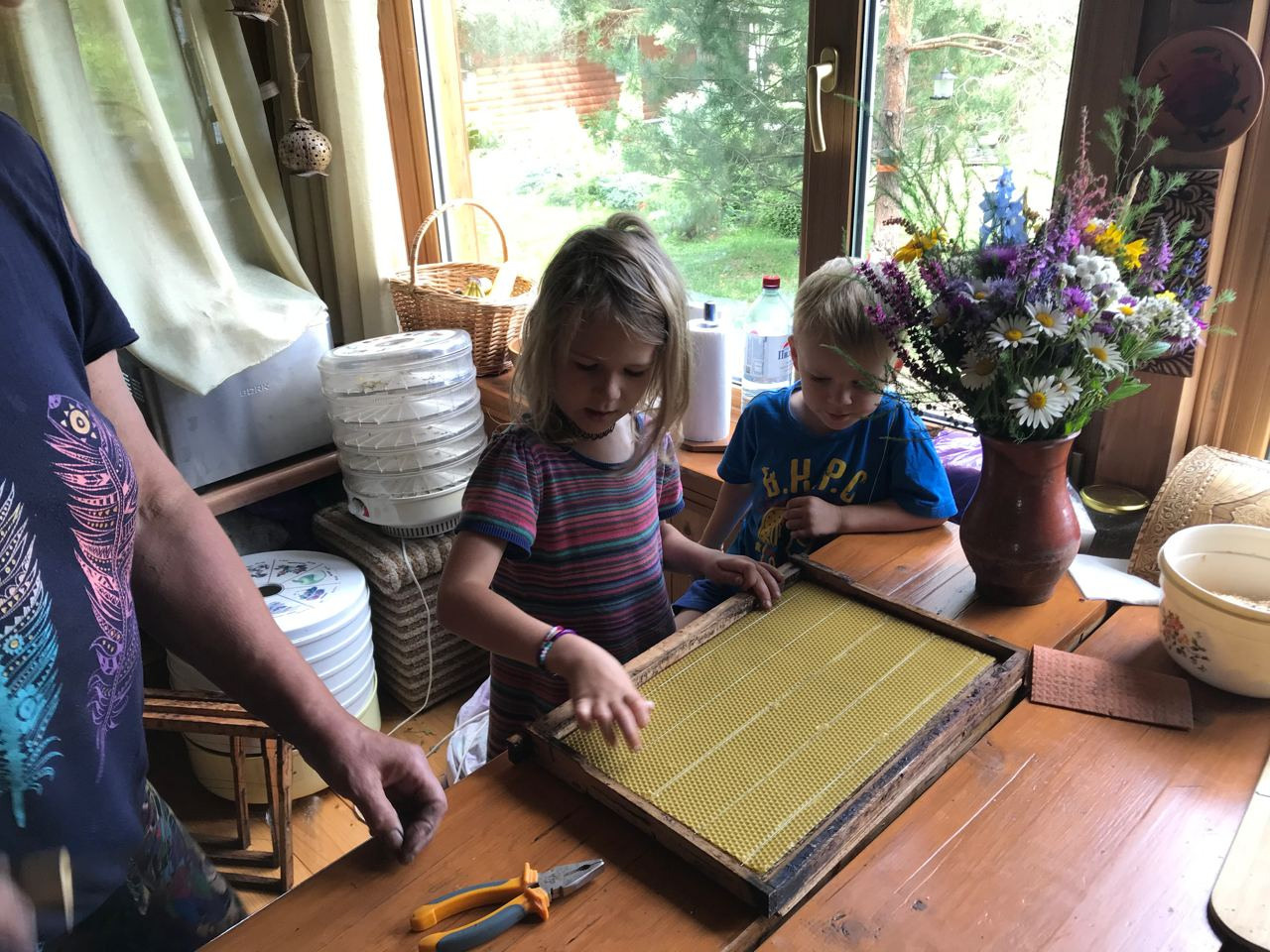 Пасека экофермы и работы на ней. Эко отдых в Подмосковье в эко-отеле Марии Гиппенрейтер