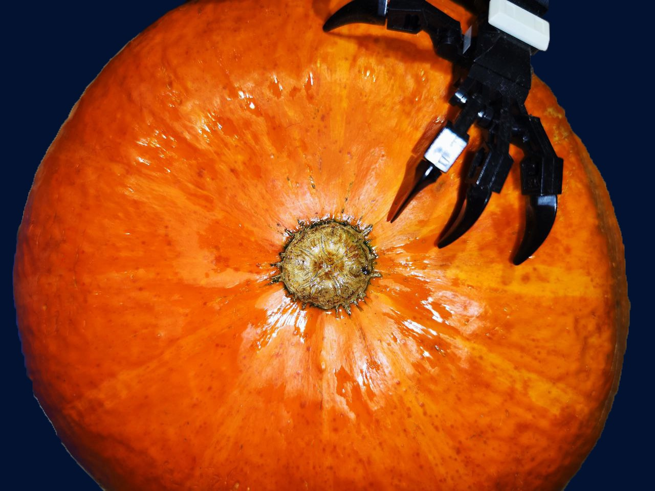 фотограф, фотография, фото проект. женщина, женская физиология, сексуальность, эмоции, секс, искусство, современное искусство, поп арт, фотопроект, фуд съемка, художественая съемка, галлерея, художник, предметная съемка, феминизм, выставка, выставка фотографии, цвет, обложка для книги, обложка для песни, обложкадля музыкального альбома, лучший фотограф России, best of photographers, gallery, photo, art, pop art, photography, women, woman, art photo, contemporary art, world of art, 照片,艺术, 中国